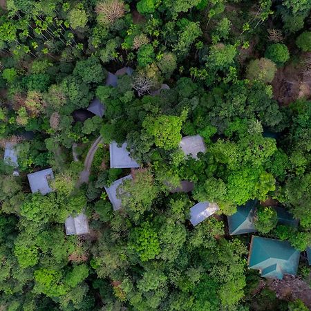 The Hive, Wayanad Hotel ภายนอก รูปภาพ