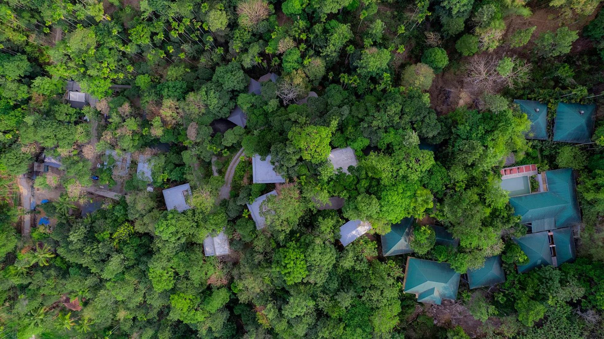 The Hive, Wayanad Hotel ภายนอก รูปภาพ