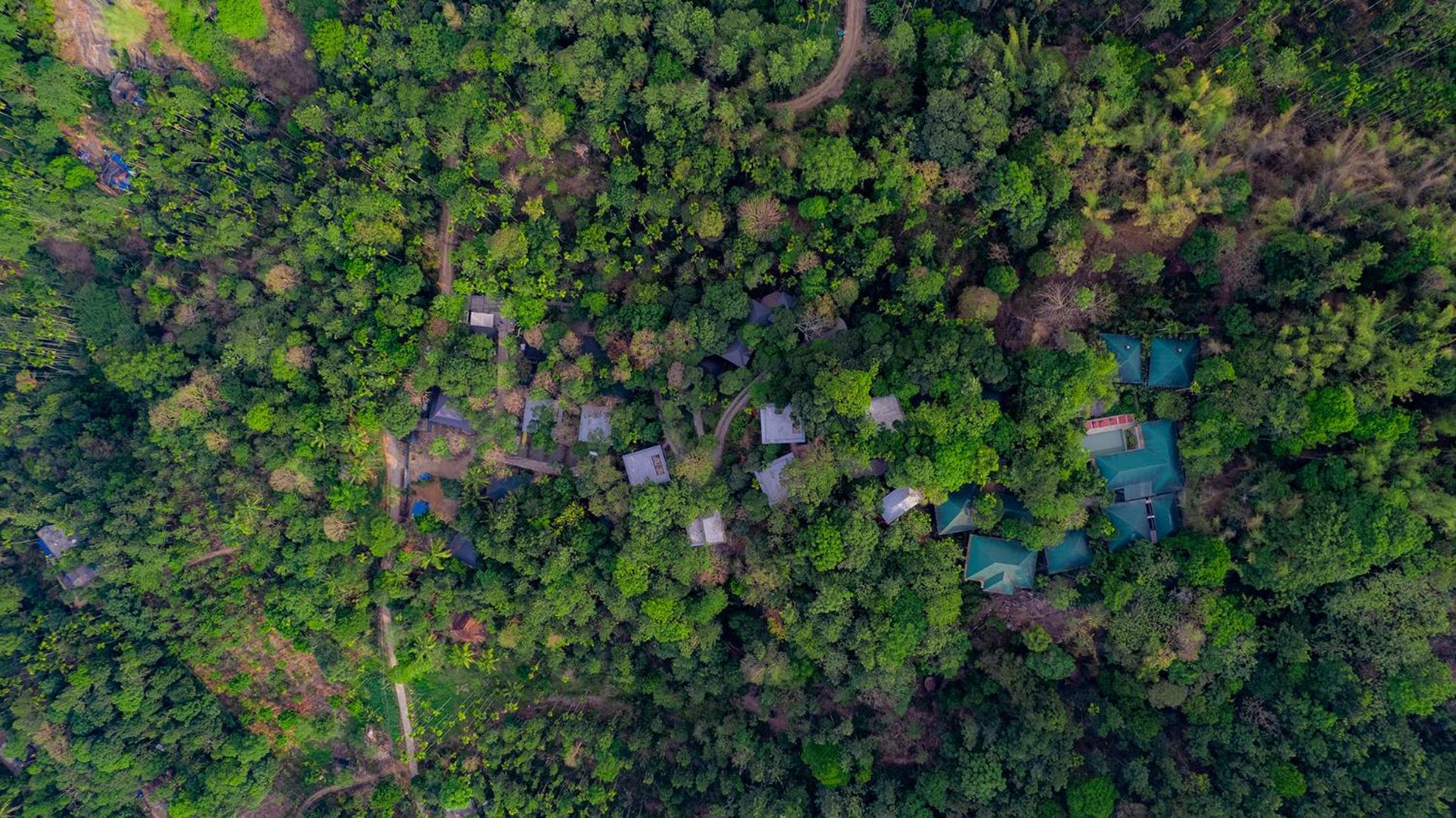 The Hive, Wayanad Hotel ภายนอก รูปภาพ