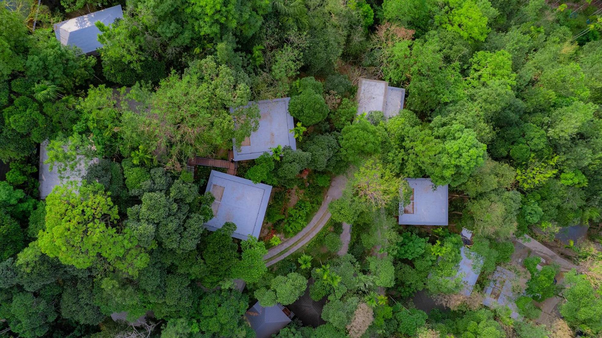 The Hive, Wayanad Hotel ภายนอก รูปภาพ