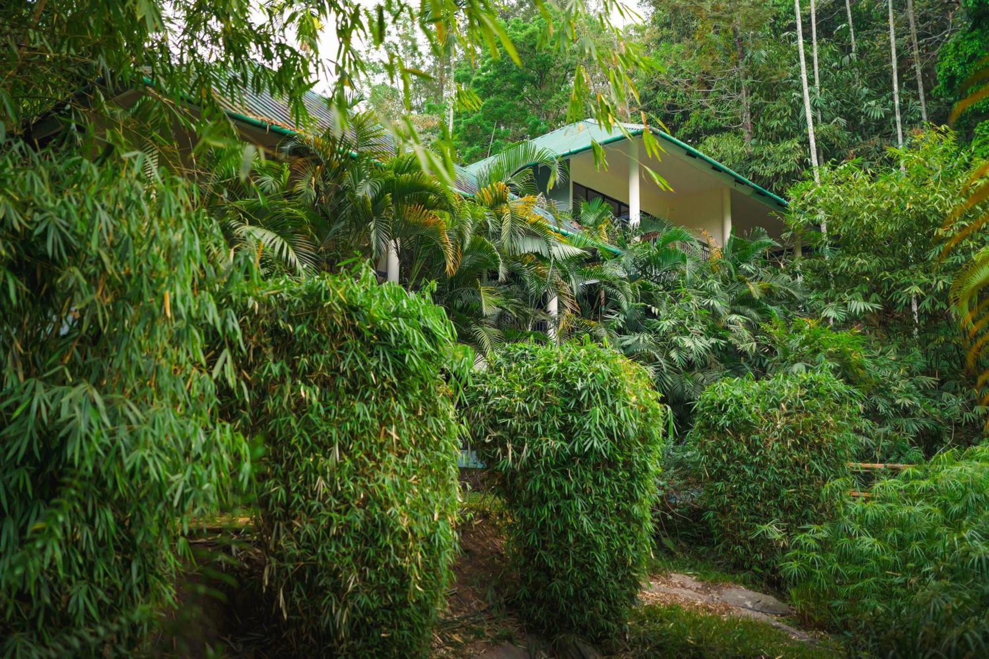 The Hive, Wayanad Hotel ภายนอก รูปภาพ